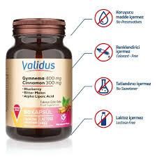 Validus Gymnema Sylvestre 400 mg + Cinnamon 300 mg 90 Kapsül