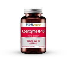 Wellcare Coenzyme Q-10 100 mg 30 Kapsül