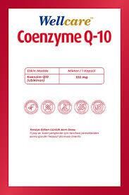 Wellcare Coenzyme Q-10 100 mg 30 Kapsül