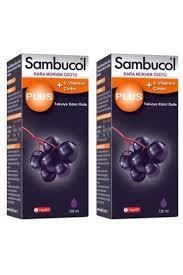 Sambucol Plus Kara Mürver Özütü C Vitamini Çinko 120 ml 2 Adet