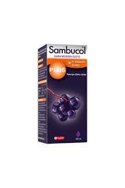 Sambucol Plus Kara Mürver Özütü C Vitamini Çinko 120 ml 2 Adet