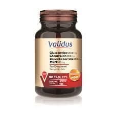 Validus Glucosamine + Chondroitin + MSM 90 Tablet