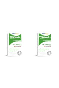 Wellcare Vitamin B12 1000 Mcg Sprey 5 Ml 2 Kutu
