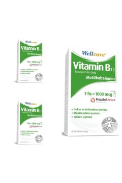 Wellcare Vitamin B12 1000 Mcg Sprey 5 Ml 3 Kutu