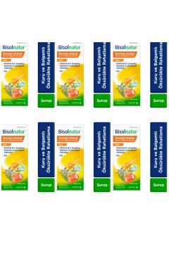 Bisolnatur Bitkisel Şurup 128 gr 6 Kutu
