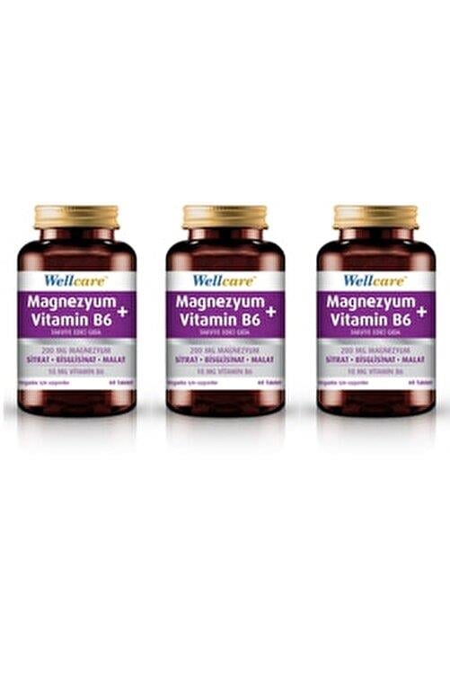 Wellcare Magnezyum + Vitamin B6 60 Tablet 3 Kutu