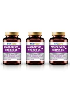 Wellcare Magnezyum + Vitamin B6 60 Tablet 3 Kutu