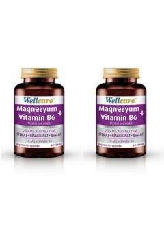 Wellcare Magnezyum + Vitamin B6 60 Tablet 2 Kutu