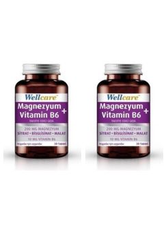 Wellcare Magnezyum + Vitamin B6 30 Tablet 2 Kutu