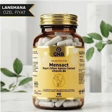 Gnb Mencast Hayıt Vitex Agnus Castus Vitamin B6 Kadın Destek Takviyesi 90 Kapsül