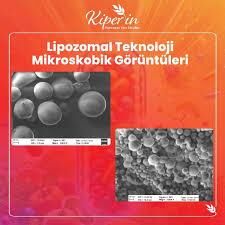 Kiperin Multivitamin Lipozomal 30 Kapsül