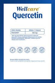 Wellcare Quercetin 60 Kapsül