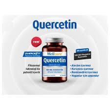 Wellcare Quercetin 60 Kapsül