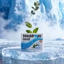 Maxidrops Pastil Nane Mentol 24'lü