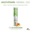 Sunlife Multivitamin Mineral + Q10 20 Efervesan Tablet