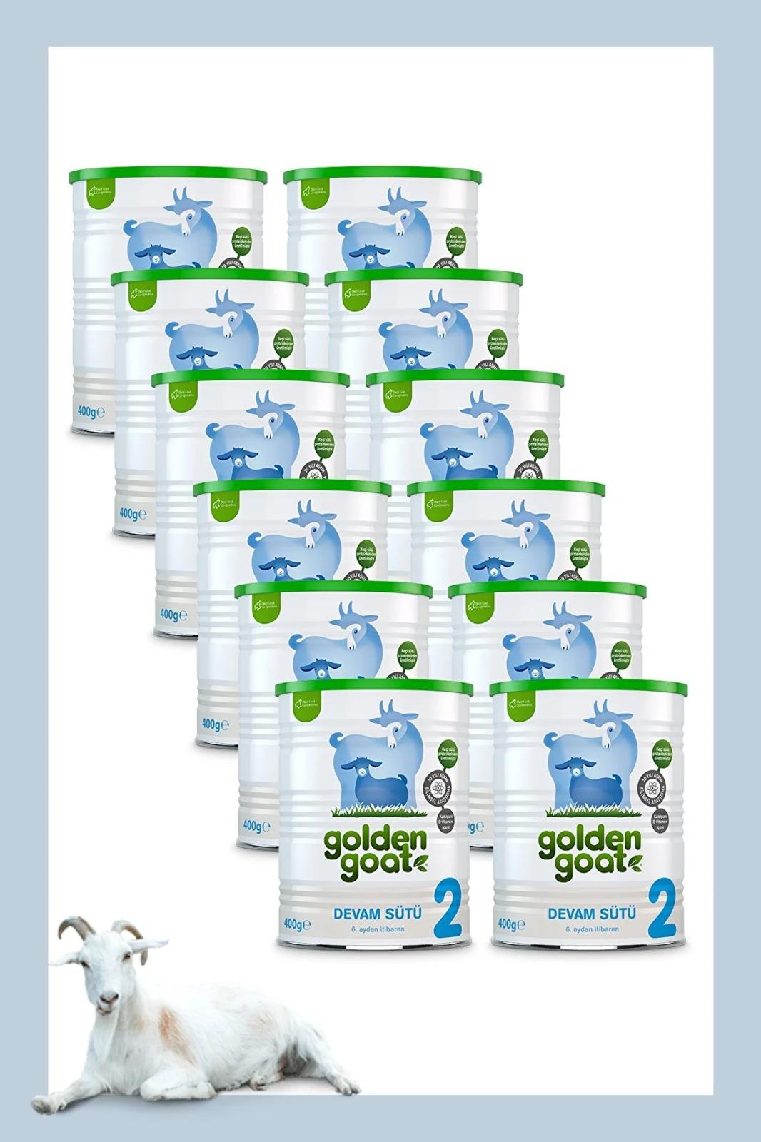 Golden Goat 2 Keçi Sütü Bazlı Devam Sütü 400 gr 12 Kutu