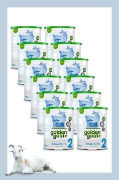 Golden Goat 2 Keçi Sütü Bazlı Devam Sütü 400 gr 12 Kutu