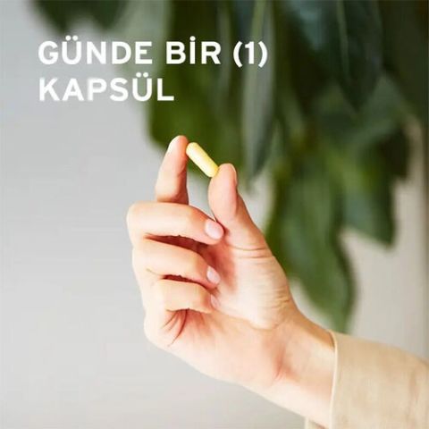 Solgar Vitamin B Complex 50 Mg 50 Kapsül