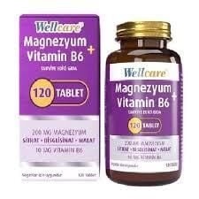 Wellcare Magnesium Vitamin B6 120 Tablet