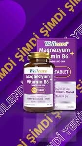 Wellcare Magnesium Vitamin B6 120 Tablet