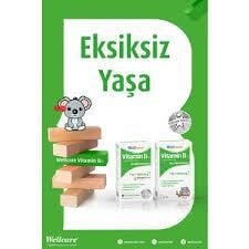 Wellcare Vitamin B12 500 mcg Sprey 5 ml