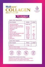 Wellcare Collagen Beautyboost Karpuz Nane 5500 mg 30 Tüp 40 ml