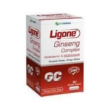 Ligone Ginseng Multivitamin Multimineral 30 Kapsül