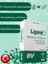 Ligone Berberis Vulgaris 60 Kapsül