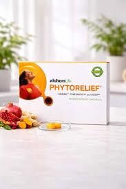Phytorelief 24 Pastil