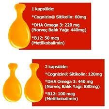 Sorvagen Smart Kids Sitikolin DHA Omega 3 Norveç Balık Yağı B12 60 Kapsül
