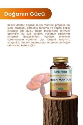 Shiffa Home Upr Reishi Mantarı & Isırgan Otu 60 Kapsül