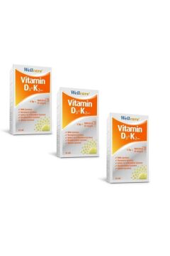 Wellcare Vitamin D3 + K2 25 mcg 1000 IU 12 ml 3 Kutu