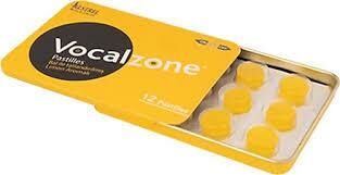 Vocalzone Ballı Limonlu Pastil 24'lü