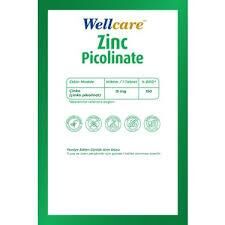 Wellcare Çinko Pikolinat 15 mg 60 Kapsül