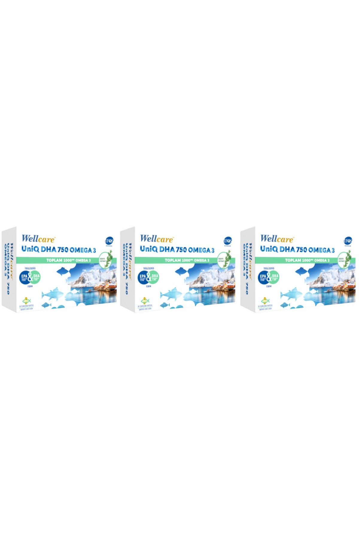 Wellcare Uniq 750 Omega 3 30 Kapsül 3 Kutu