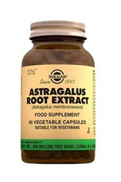 Solgar Astragalus Root 60 Kapsül